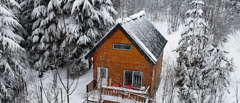 Tundra Lodge- set amongst trees and mountain views. 