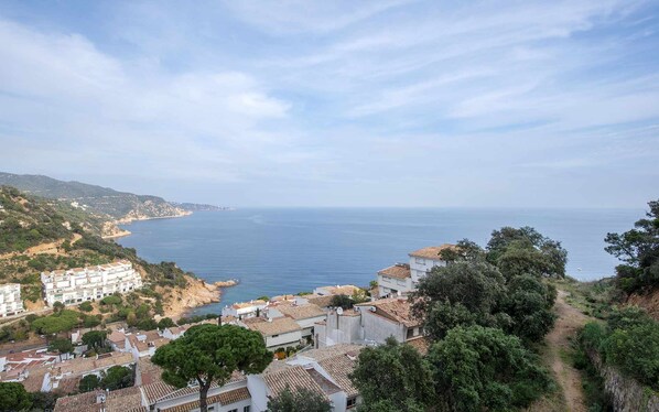 Vue sur la plage ou l’océan