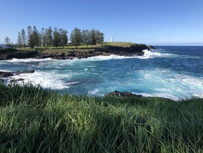 Follow headland walk to blowhole and lighthouse = 10 minute pathway stroll 