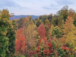 View from the deck from October 16, 2022. Photo is not doctored in any way!