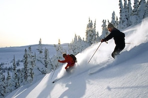 Deportes de invierno y ski