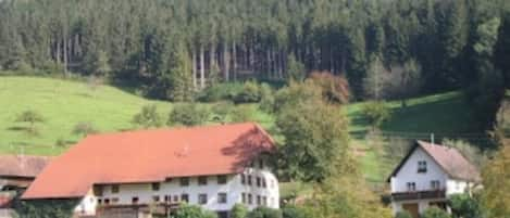 Bauernhof mit Ferienhaus