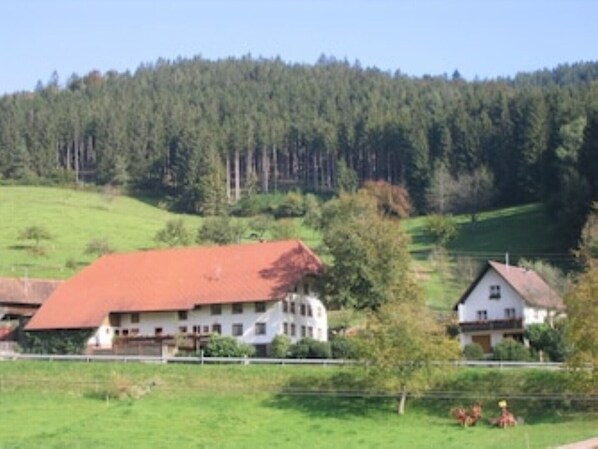 Bauernhof mit Ferienhaus