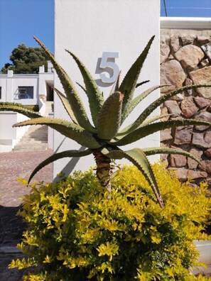 Entrance to the property.