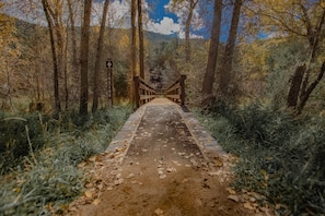 Nature trail Spring