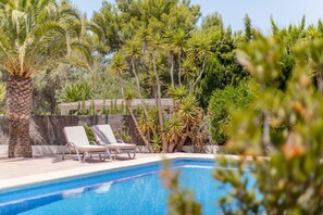 Terrace and pool