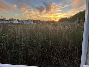 View from property