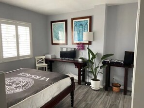 Bedroom with queen size bed, TV, and large hanging closet.