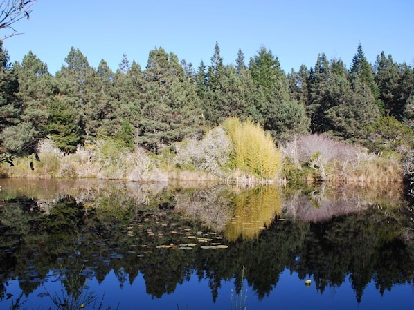 Tranquility Pond in springtime - a short walk on the property from Cottages