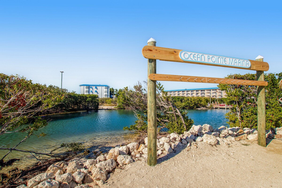 Updated ocean-view condo with 2 balconies, pool, hot tub, W/D, & AC