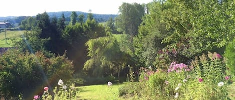 Terrain de l’hébergement 