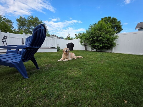 "Let your pup roam free! Spacious fenced yard perfect for pets and playtime."