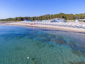 Activities, Autumn, Spring, Summer