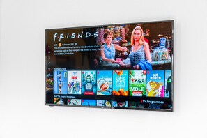 Television
