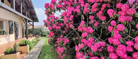 jardin devant la maison