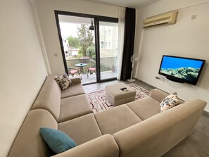 There is a 42 HD TV with Europe satellite free channels and HDMI cable.