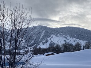 Ski, Snowboard, Snowmobile right from the back door