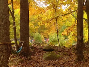 Fall foliage in Maine is stunningly beautiful!!