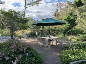  backyard dining area within garden