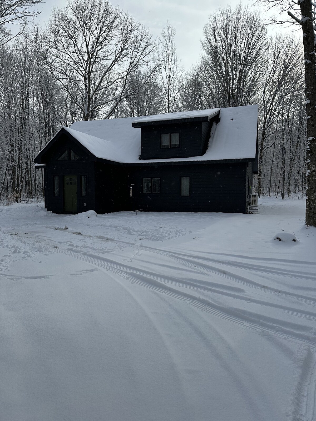 Main Image