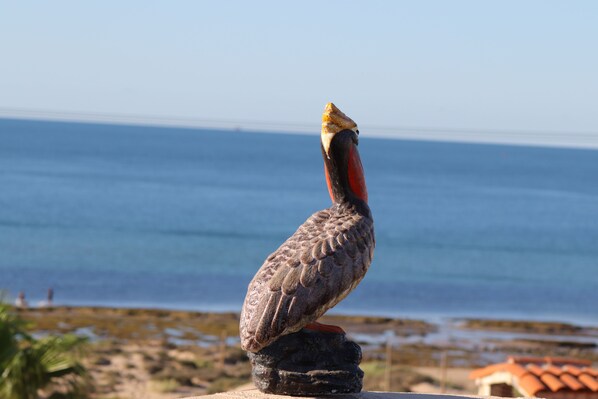 OCEAN VIEW FROM 3RD LEVEL PELICAN PERCH PATIO.