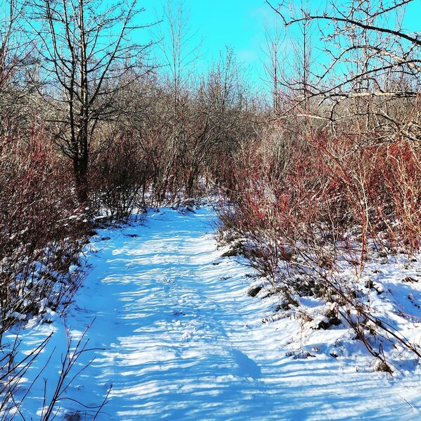 Sports d’hiver