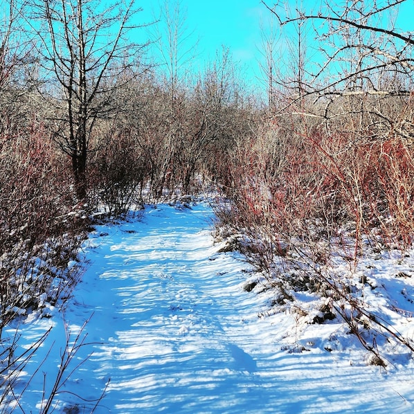 Deportes de invierno