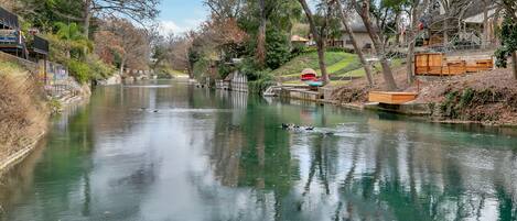 The beautiful Comal River!