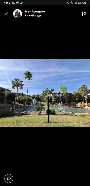 Property grounds