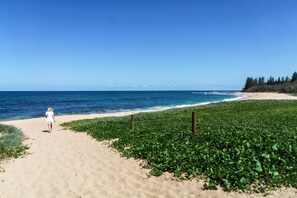 Shelly Beach is on your doorstep