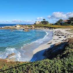 About a five minute walk from the house, you'll find the seal pupping beach.