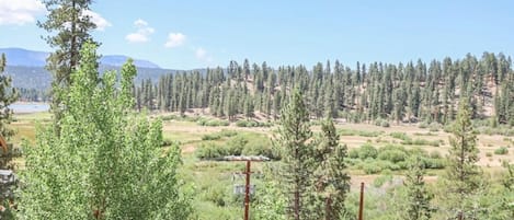 View from your back balcony patio.