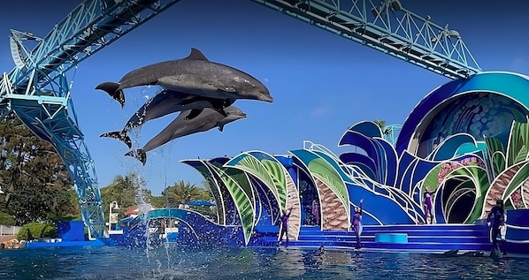 Sea World