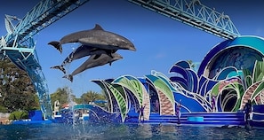 Sea World