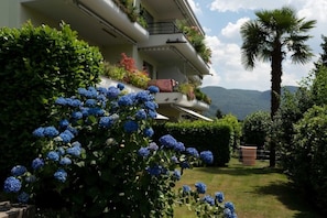 Aussenansicht zum bepflanzten Balkon