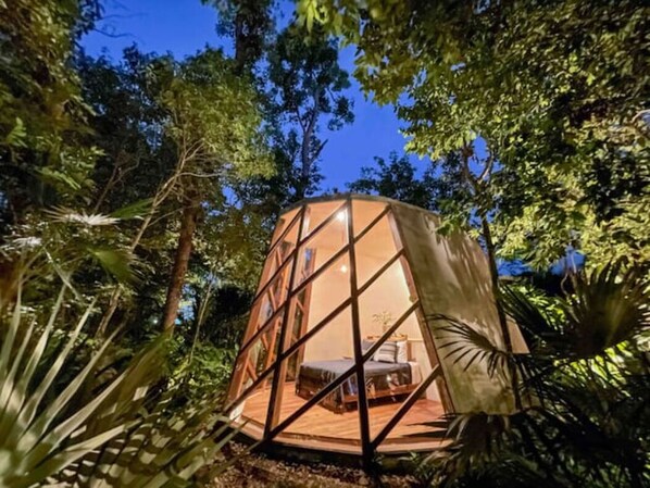 Jungle Pod at dawn