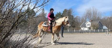 Overnattingsstedets uteområder