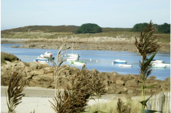 Vue sur la plage ou l’océan