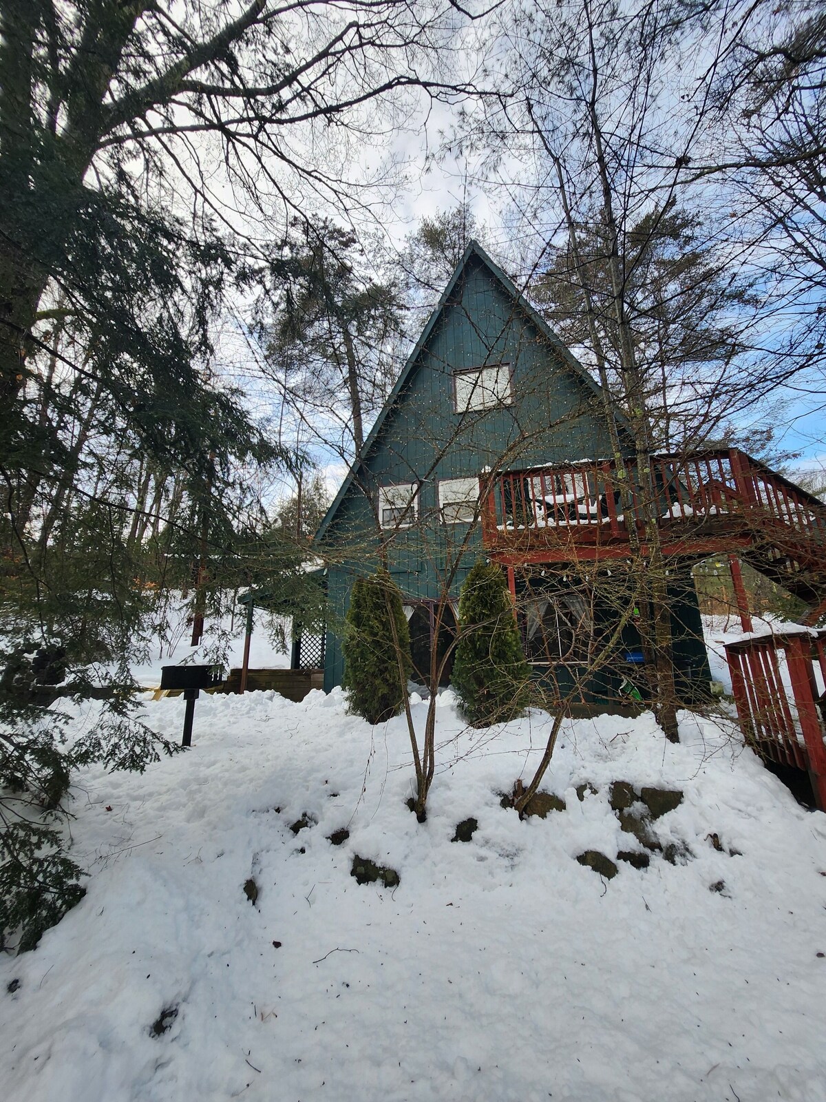 Main Image
