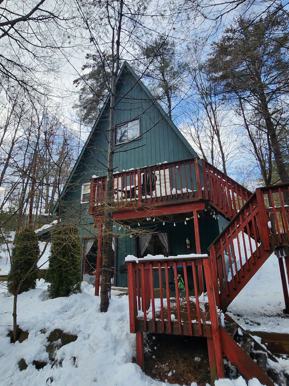 Main Image