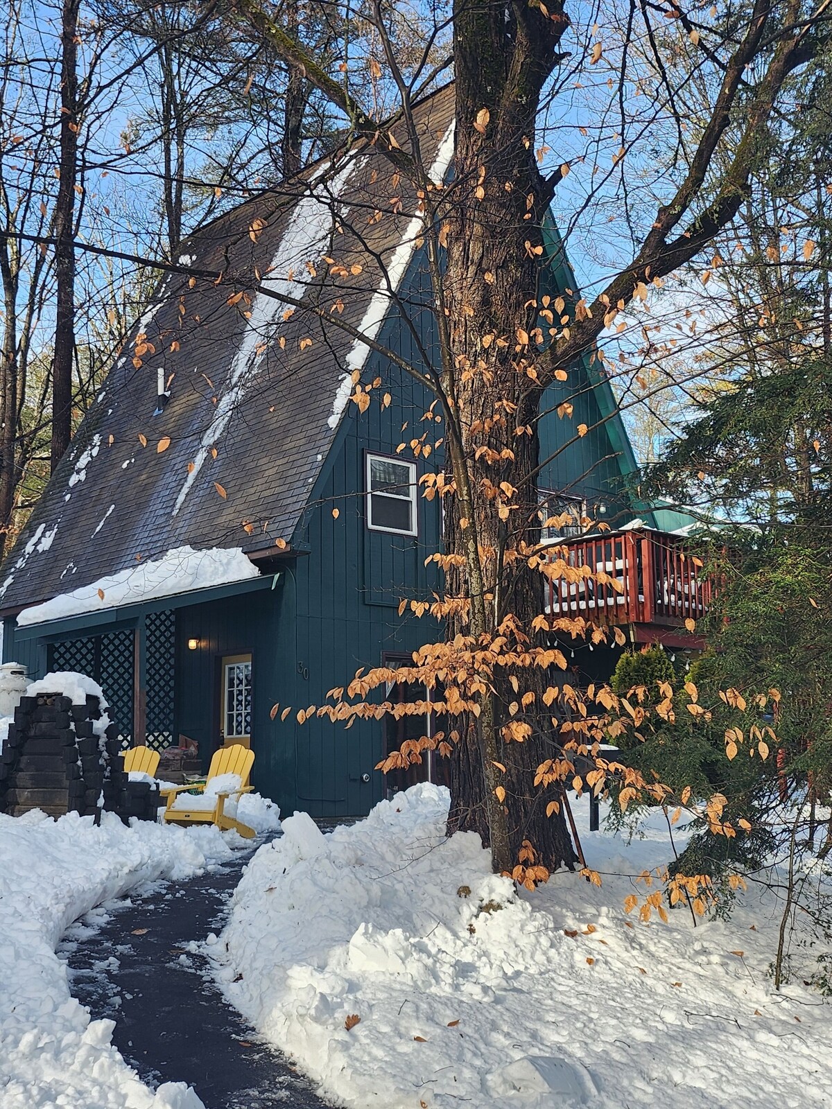 Main Image