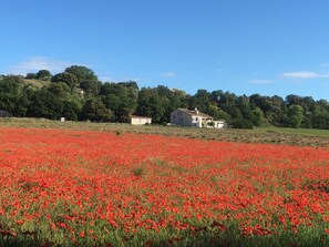 la propriété