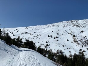 Snow and ski sports