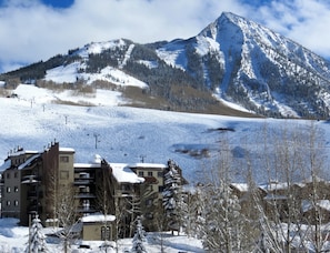 Wood Creek Lodge #406, Crested Butte Vacation Rental - Wood Creek Lodge #406, Crested Butte Vacation Rental