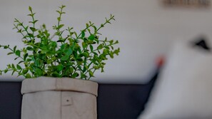 Decorative plant.