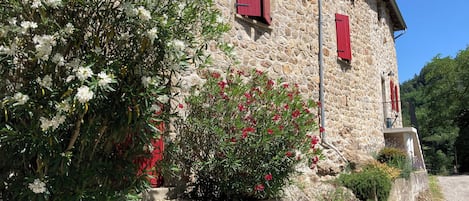 Trois Cèdres avec Le Greffon au fond