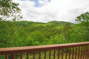 This is the view offered from the porch of Wild Daisy