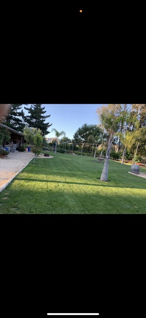 Property grounds