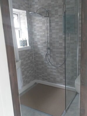 Wet room with basin and WC