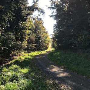 Boendeområde
